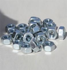 Nuts Supplier in India